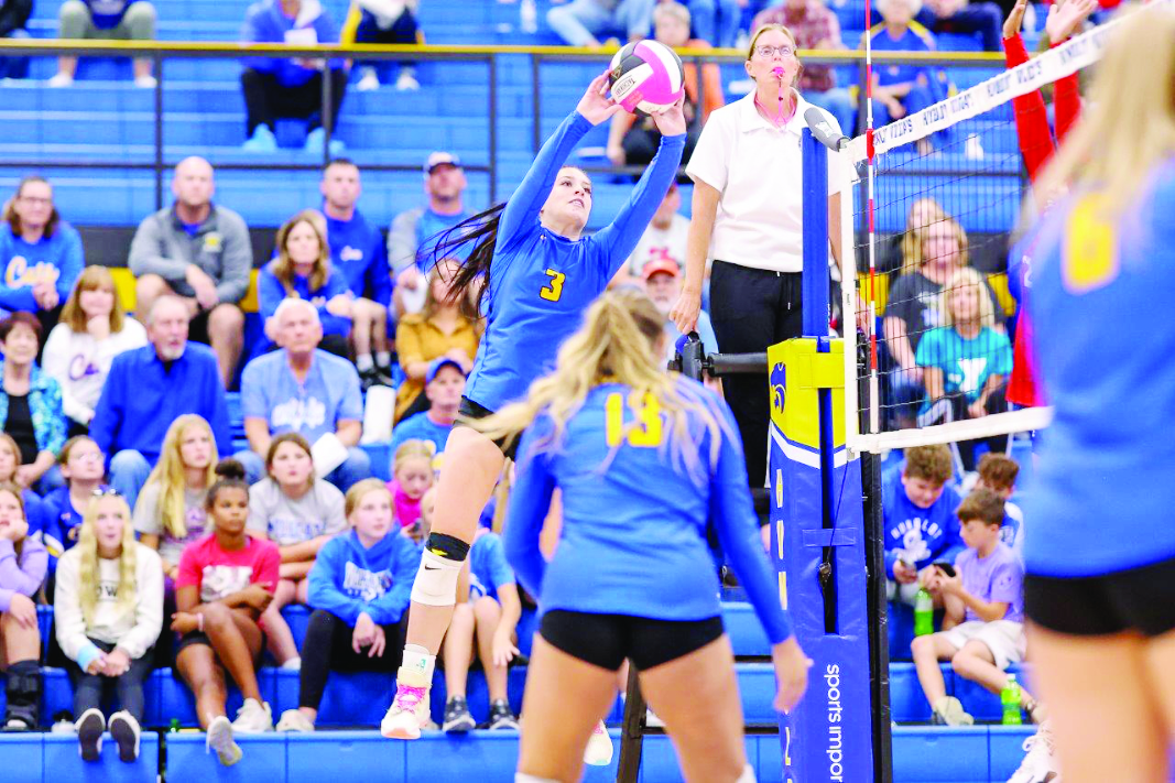 Humboldt defeats Dodger volleyball squad News, Sports, Jobs